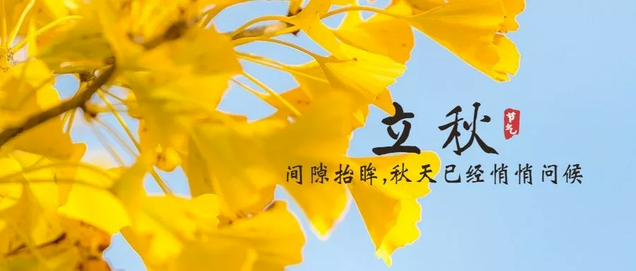 WG电子(中国区) - 官方网站