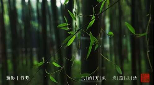 WG电子(中国区) - 官方网站